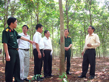 Lãnh đạo Sư đoàn 302 (Quân khu 7) và lãnh đạo Tổng công ty CS Đồng Nai thăm vườn cao su của đơn vị.