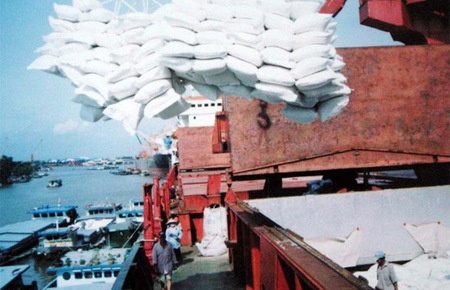 Đưa gạo xuống tàu xuất khẩu. Tuần này, giá chào bán gạo xuất khẩu loại 15% tấm của Việt Nam đã lên mức 415-420 USD/tấn, FOB cảng Sài Gòn, từ mức 415 USD/tấn hôm thứ Tư tuần trước, và mức 390-295 USD/tấn vào hôm 1/8.