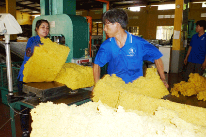 Công nhân nhà máy chế biến mủ cao su Xà Bang, Công ty TNHH MTV Cao su Bà Rịa trong giờ sản xuất.