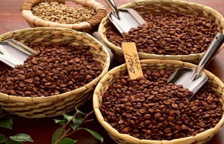 Việt Nam trở thành quốc gia xuất khẩu cà phê số 1 thế giới