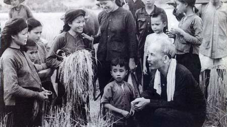 Chủ tịch Hồ Chí Minh thăm Hợp tác xã Hùng Sơn, huyện Đại Từ, tỉnh Thái Nguyên gặt mùa (1954). Ảnh tư liệu TTXVN.
