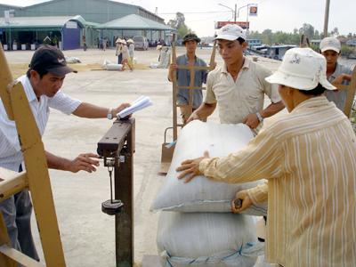 Tính đến đầu tháng 10, các doanh nghiệp xuất khẩu được hơn 6 triệu tấn gạo