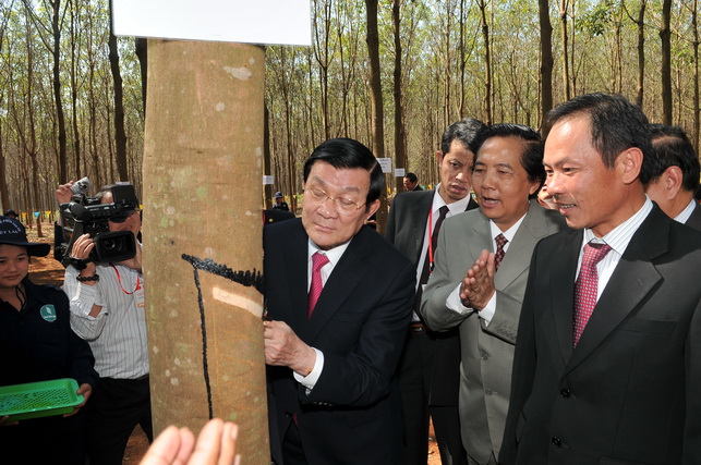 Chủ tịch Nước Truong Tấn Sang tại lễ mở miệng cạo vườn cao su Việt Lào