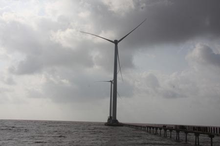 Hình ảnh cột điện gió vươn cao giữa trời nước Bạc Liêu