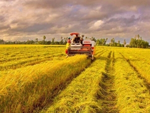 Nông nghiệp hiện đang là một trong những điểm sáng trong nền kinh tế.