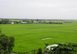 Tỉnh Phú Thọ sẽ chuyển khoảng 18.302 ha đất nông nghiệp chuyển sang đất phi nông nghiệp