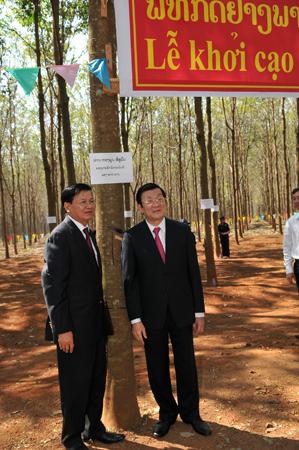 Chủ tịch nước Trương Tấn Sang và ông Thong Lun XiSuLit - Phó Thủ tướng Chính phủ Lào tham dự lễ mở miệng cạo 10 ngàn ha cao su của Công ty CPCS Việt-Lào  trong năm 2012
