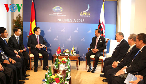 Chủ tịch nước hội kiến với Quốc vương Brunei
