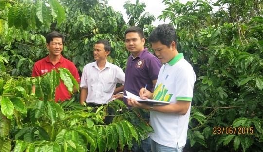 Đại diện PVFCCo, Nestlé, Yara và chủ vườn tham gia vườn cà phê mẫu