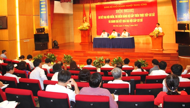 Đại biểu tham luận tại Hội nghị.