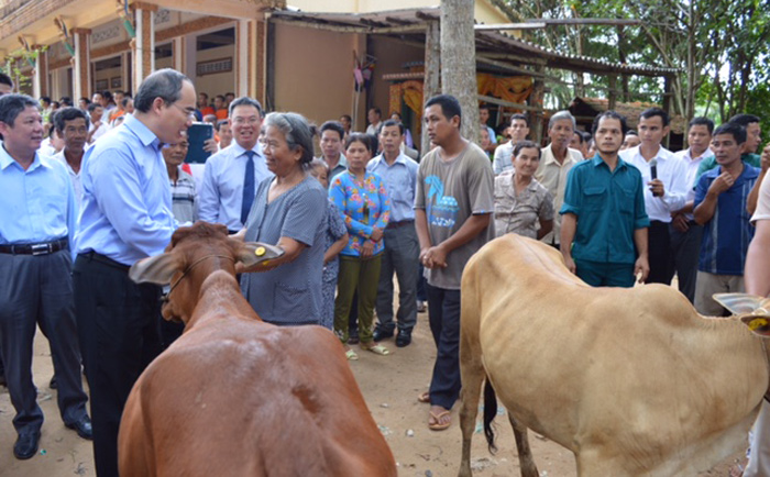 Chủ tịch Ủy ban Trung ương MTTQ Việt Nam Nguyễn Thiện Nhân trao bò cho người dân