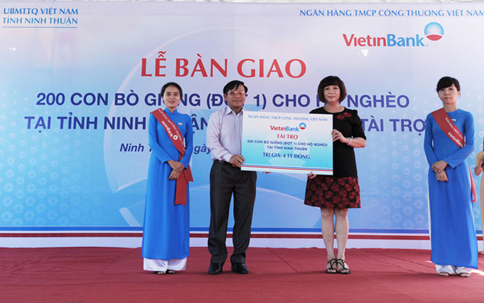 Đại diện VietinBank trao tặng 200 con bò giống (đợt 1) cho hộ nghèo tỉnh Ninh Thuận