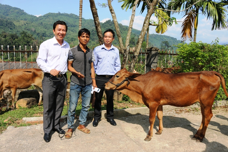Đại diện Vietcombank Kon Tum và đại diện Sở NN&PTNT trao tặng bò giống cho bà con xã Ngọc Tem, huyện KonPlong, tỉnh Kon Tum