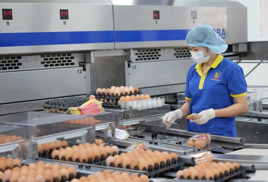Dây chuyền xử lý và chế biến trứng gia cầm công nghệ cao tại nhà máy của Công ty TNHH Ba Huân Hà Nội – dự án do Vietcombank cấp tín dụng hơn 60 tỷ đồng