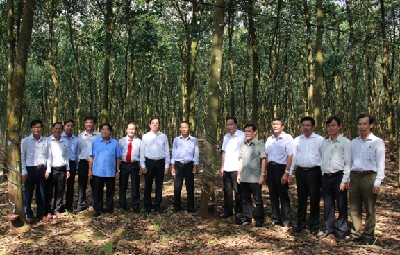 Đoàn công tác của Đảng ủy Khối DNTW thăm vườn cây kinh doanh, vườn cây kiến thiết cơ bản và mô hình trồng xen canh tại tổ 12 - Nông trường Phú Riềng đỏ