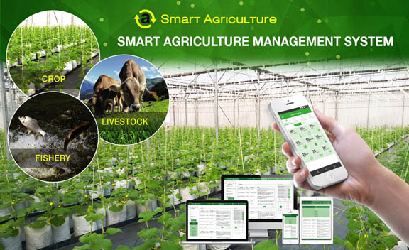 Giải pháp quản lý nông nghiệp thông minh