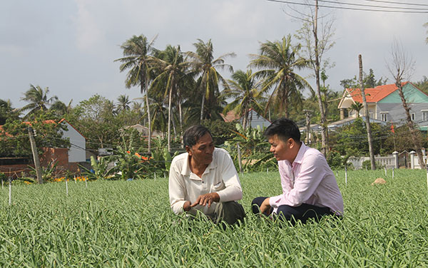 Ông Dương Văn Nhiều ở xã An Hả, huyện Lý Sơn (Quảng Ngãi) chia sẻ về mô hình trồng tỏi với cán bộ ngân hàng.