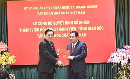 Ông Nguyễn Hoàng Anh trao quyết định cho ông Phùng Quang Hiệp.