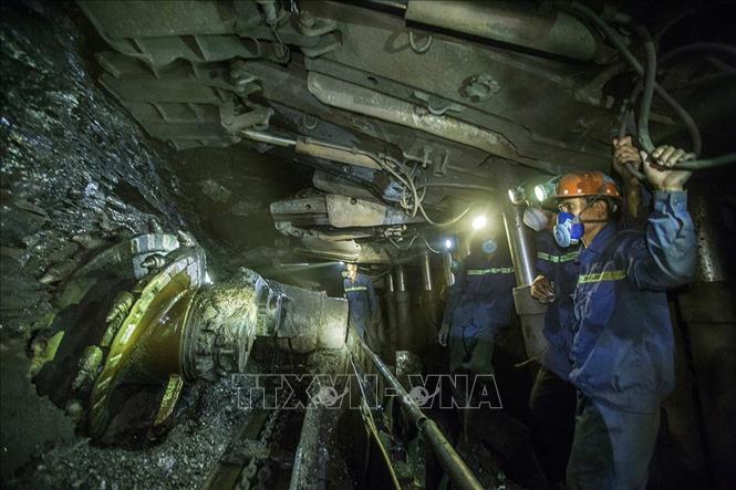 Công nhân khai thác than hầm lò của Công ty than Khe Chàm - TKV tiếp cận một vỉa than mới ở độ sâu - 230m.