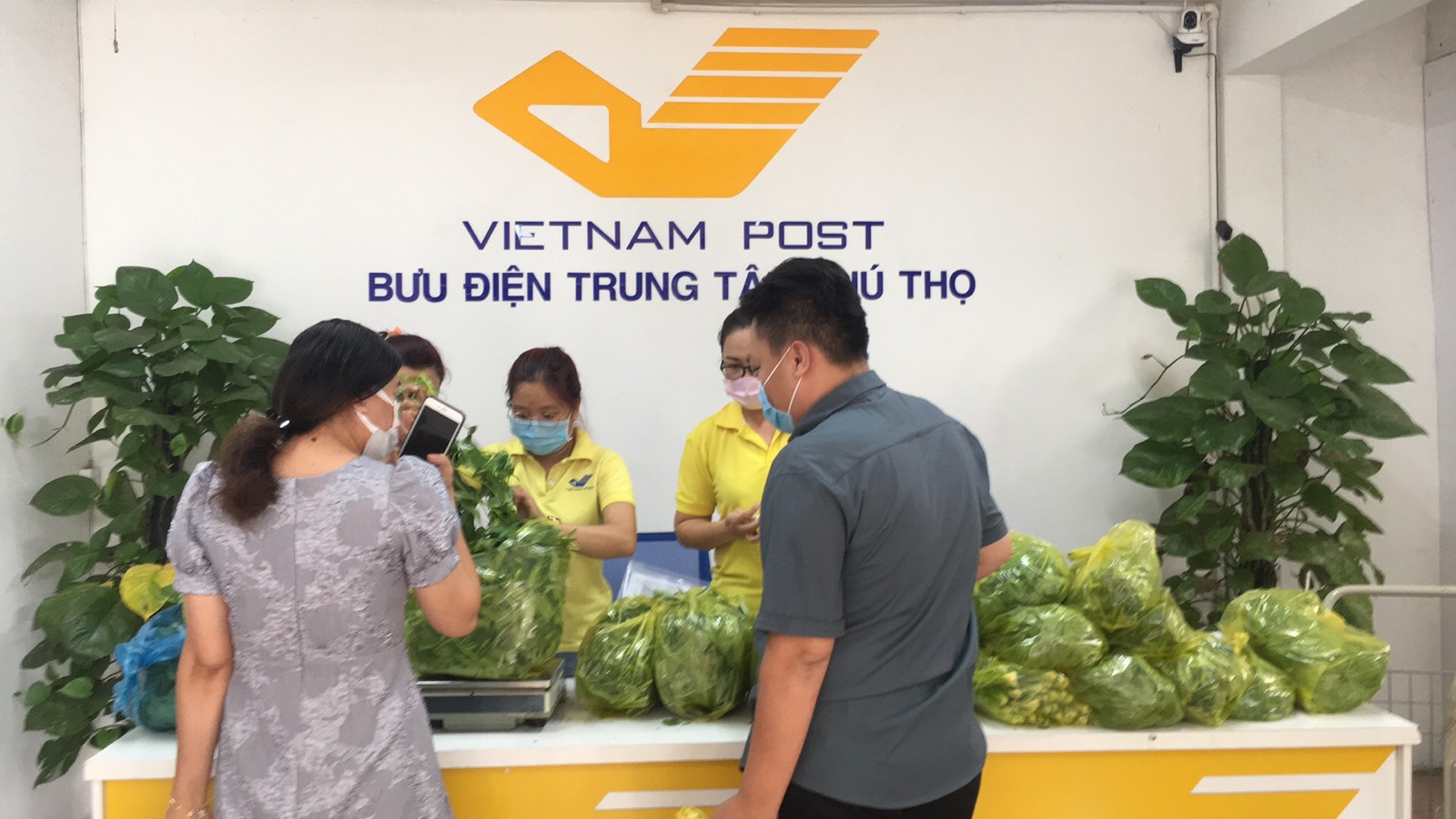 Sau 3 ngày triển khai, 179 điểm bán hàng bình ổn giá của Bưu điện Thành phố Hồ Chí Minh tại các quận, huyện đã trở thành địa chỉ mua hàng hóa, lương thực, thực phẩm quen thuộc của người dân thành phố.