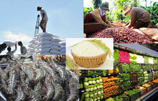Các địa phương đẩy mạnh phát triển sản xuất, tiêu thụ, xuất khẩu nông sản cho các vùng, khu vực đã khống chế được dịch COVID-19.