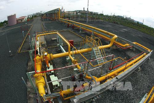 Hệ thống cung cấp khí tại Công ty Khí Cà Mau (Tổng công ty Khí Việt Nam - PV GAS).