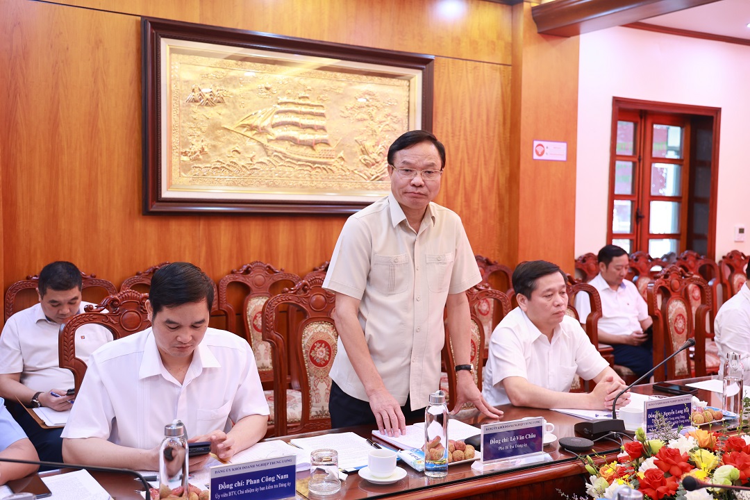 Phó Bí thư Đảng ủy Khối Doanh nghiệp Trung ương- đồng chí Lê Văn Châu trao đổi, định hướng, hướng dẫn một số nội dung trọng tâm trong hoạt động của Đảng bộ Công ty 