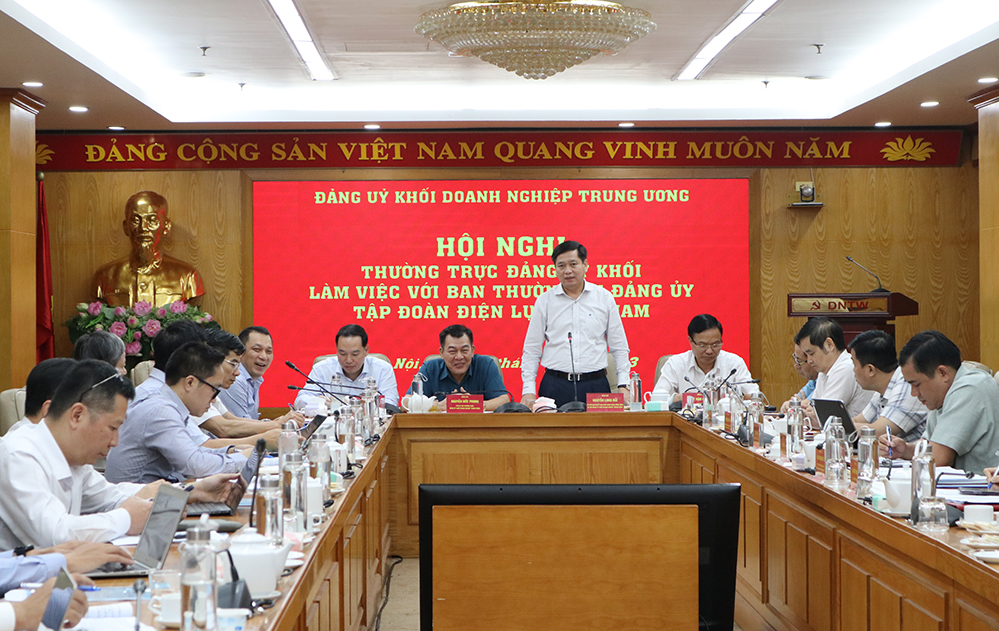 Đồng chí chí Nguyễn Long Hải, Uỷ viên dự khuyết Trung ương Đảng, Bí thư Đảng uỷ Khối Doanh nghiệp Trung ương phát biểu tại buổi làm việc.