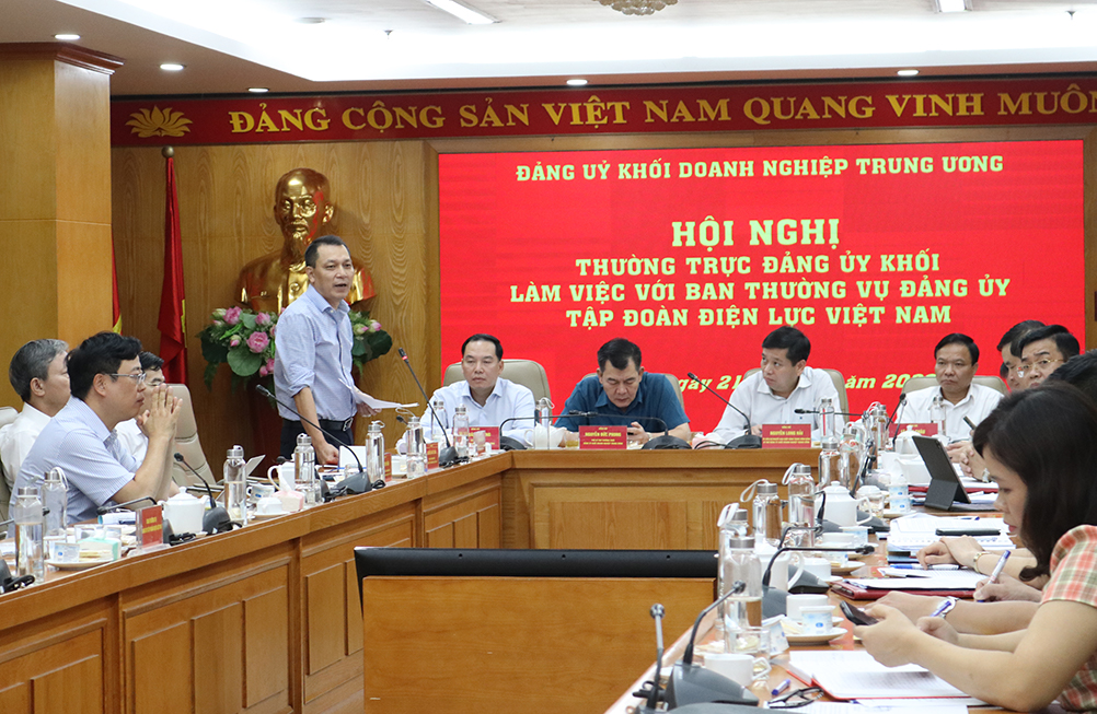 Đồng chí Đặng Hoàng An - Bí thư Đảng ủy, Chủ tịch HĐTV EVN báo cáo tại Hội nghị.