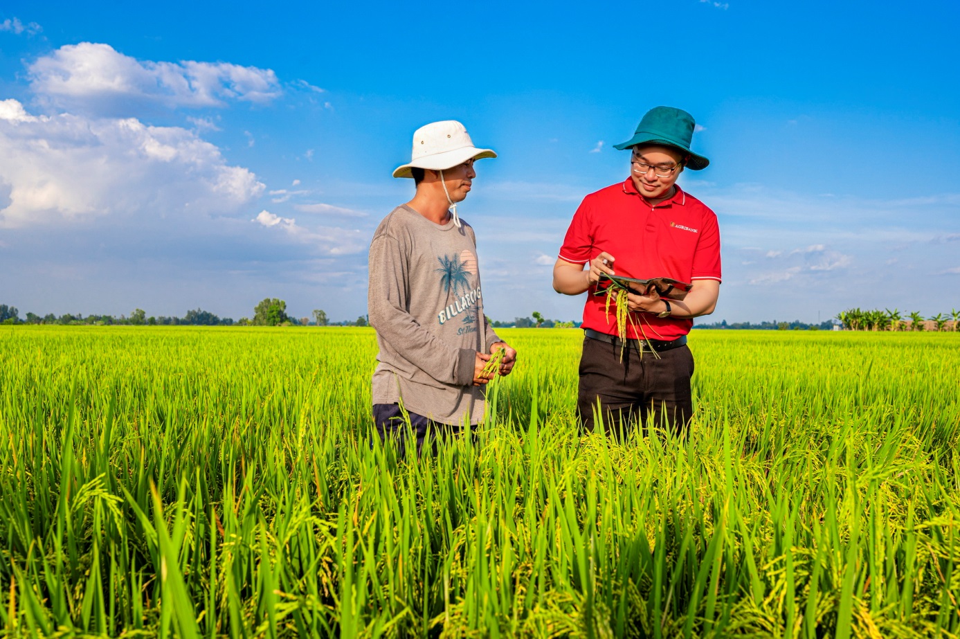 Gần 70% dư nợ cho vay phục vụ phát triển nông nghiệp, nông dân và nông thôn, chiếm tỷ trọng lớn nhất trong dư nợ tín dụng “Tam nông” tại Việt Nam.