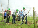 Petrovietnam: Trồng cây xanh là giải pháp quan trọng trong chuyển dịch năng lượng
